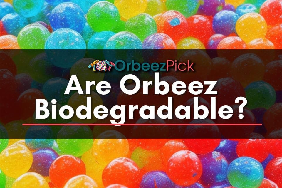 Are Orbeez Biodegradable