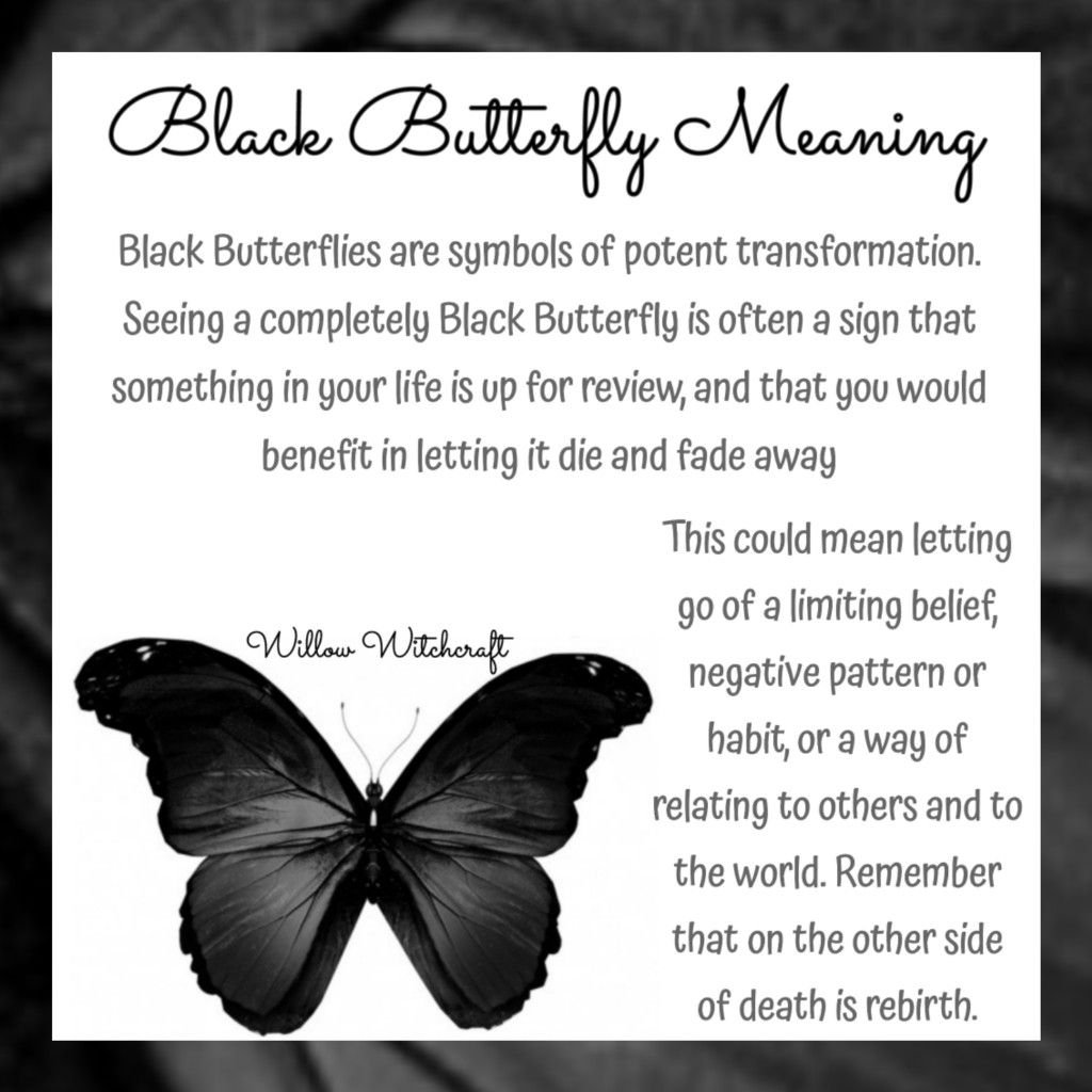 Black Butterfly Symbolism