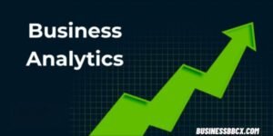 Business Analytics Tools