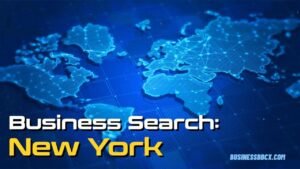 New York Business Search