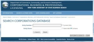 New York Secretary of State Business Search