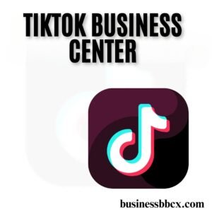 TikTok Business Center