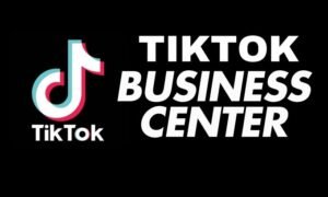 tiktok business center
